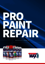 Pro Paint Repair