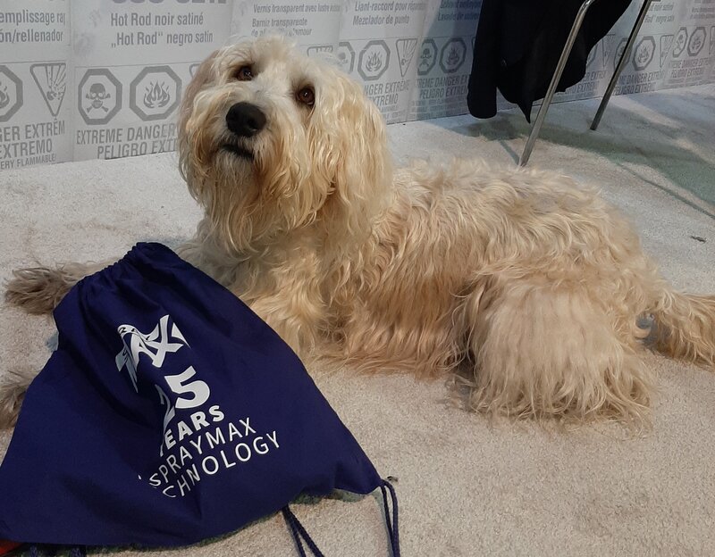 Dog with SprayMax shirt