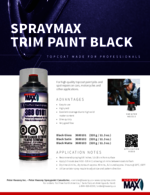 SprayMax Trim Paint Black