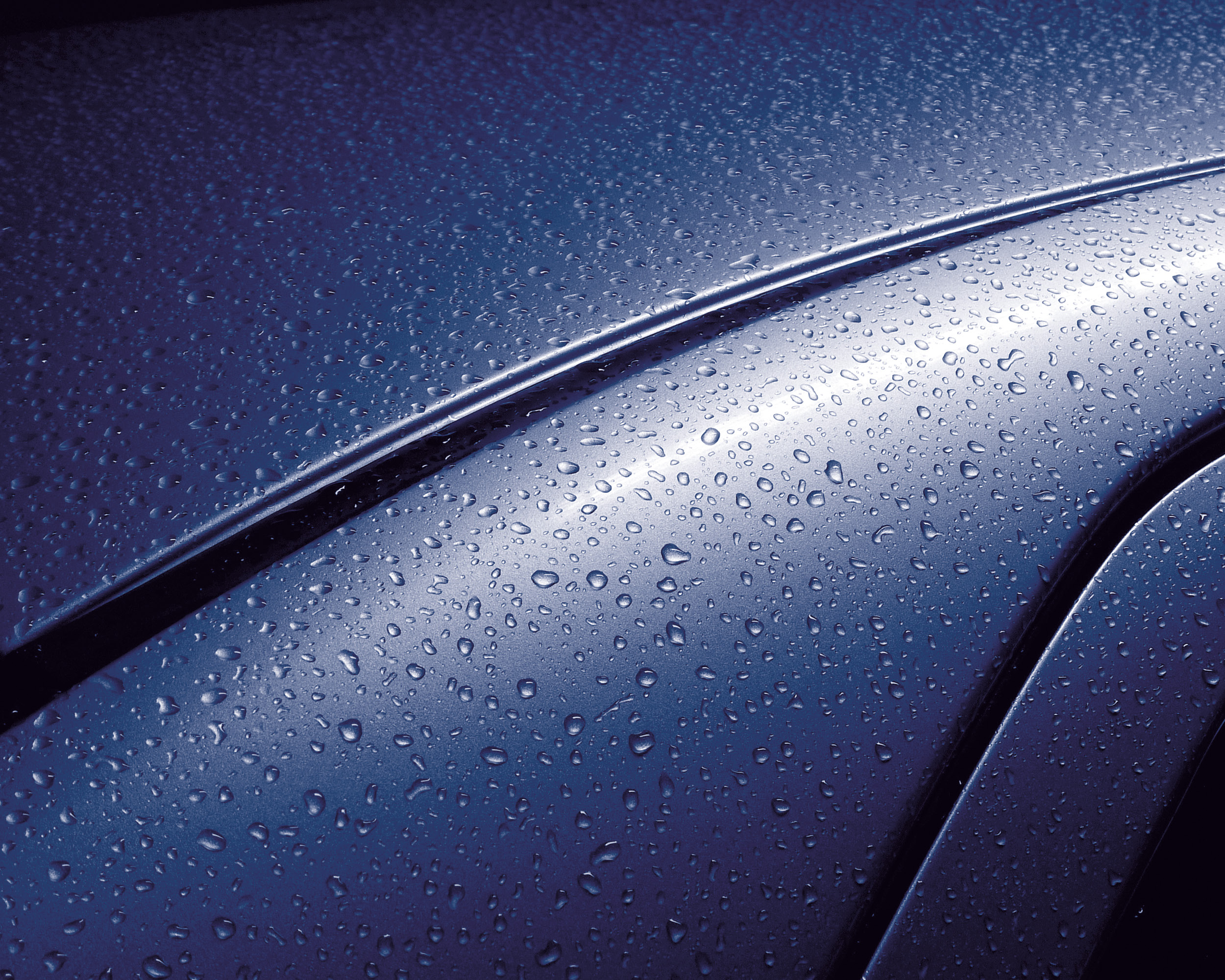 Product image for Top Coats